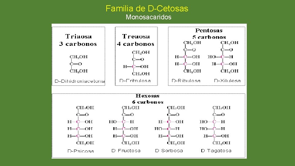 Familia de D-Cetosas Monosacaridos 