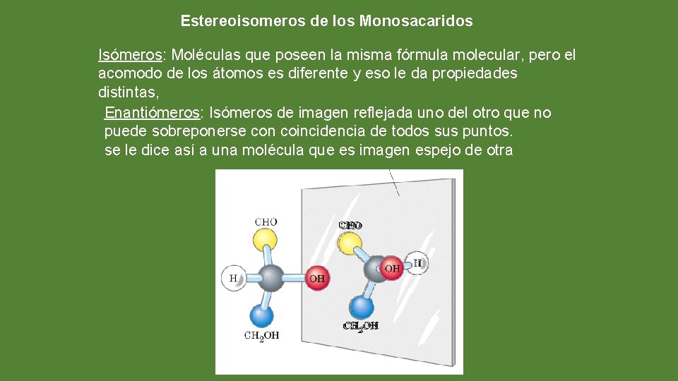 Estereoisomeros de los Monosacaridos Isómeros: Moléculas que poseen la misma fórmula molecular, pero el