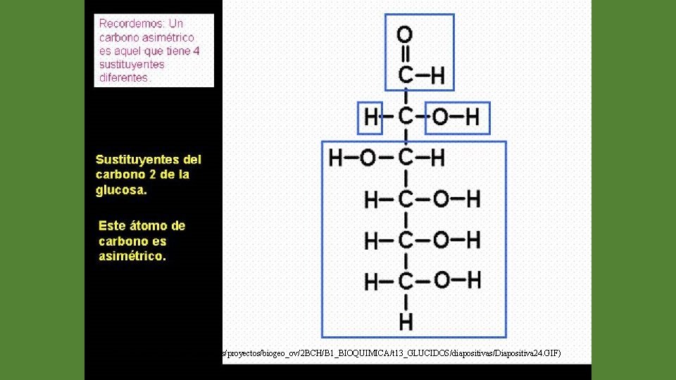(http: //web. educastur. princast. es/proyectos/biogeo_ov/2 BCH/B 1_BIOQUIMICA/t 13_GLUCIDOS/diapositivas/Diapositiva 24. GIF) 