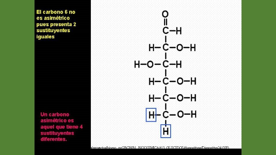 (http: //web. educastur. princast. es/proyectos/biogeo_ov/2 BCH/B 1_BIOQUIMICA/t 13_GLUCIDOS/diapositivas/Diapositiva 24. GIF) 