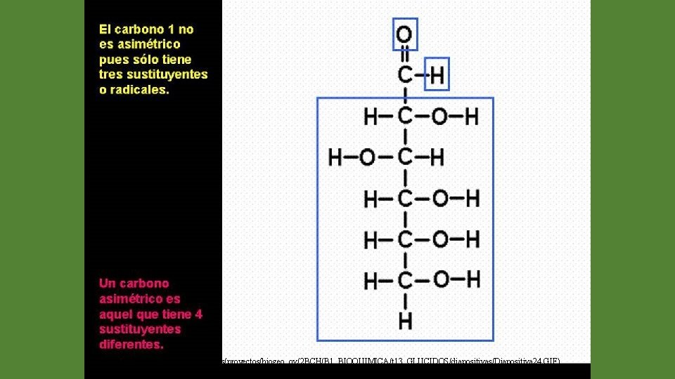 (http: //web. educastur. princast. es/proyectos/biogeo_ov/2 BCH/B 1_BIOQUIMICA/t 13_GLUCIDOS/diapositivas/Diapositiva 24. GIF) 