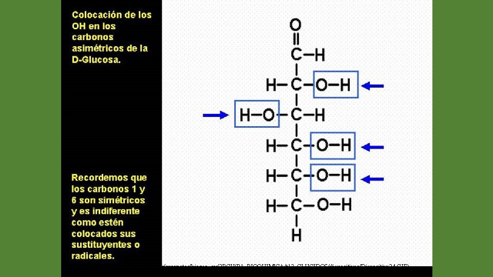(http: //web. educastur. princast. es/proyectos/biogeo_ov/2 BCH/B 1_BIOQUIMICA/t 13_GLUCIDOS/diapositivas/Diapositiva 24. GIF) 