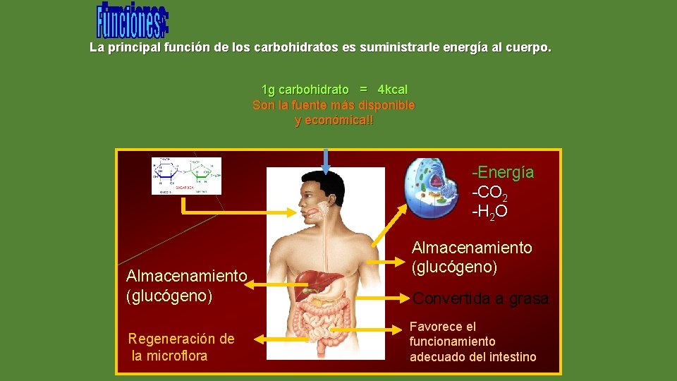 La principal función de los carbohidratos es suministrarle energía al cuerpo. 1 g carbohidrato