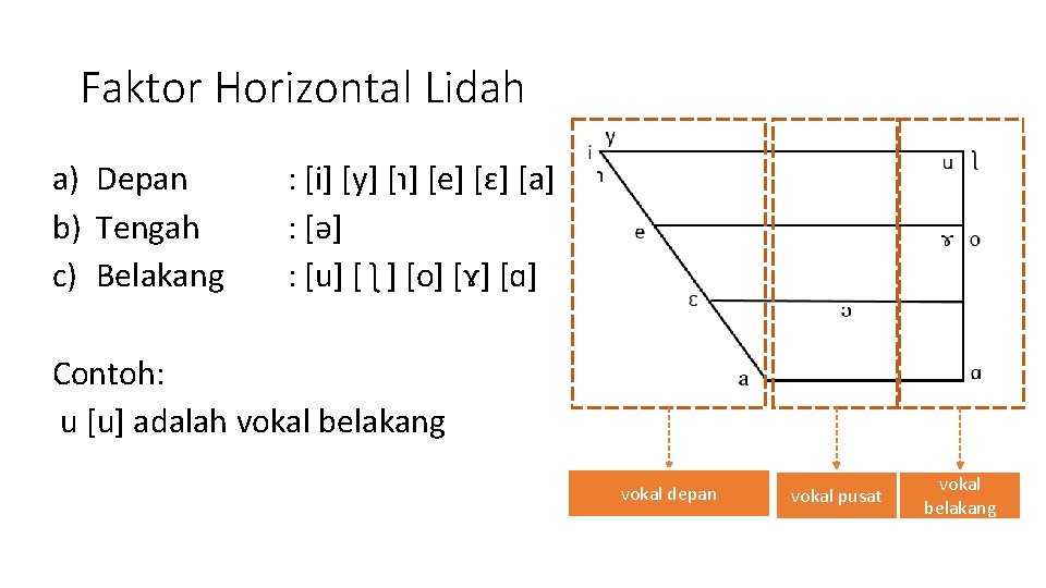 Faktor Horizontal Lidah a) Depan b) Tengah c) Belakang : [i] [y] [ɿ] [e]