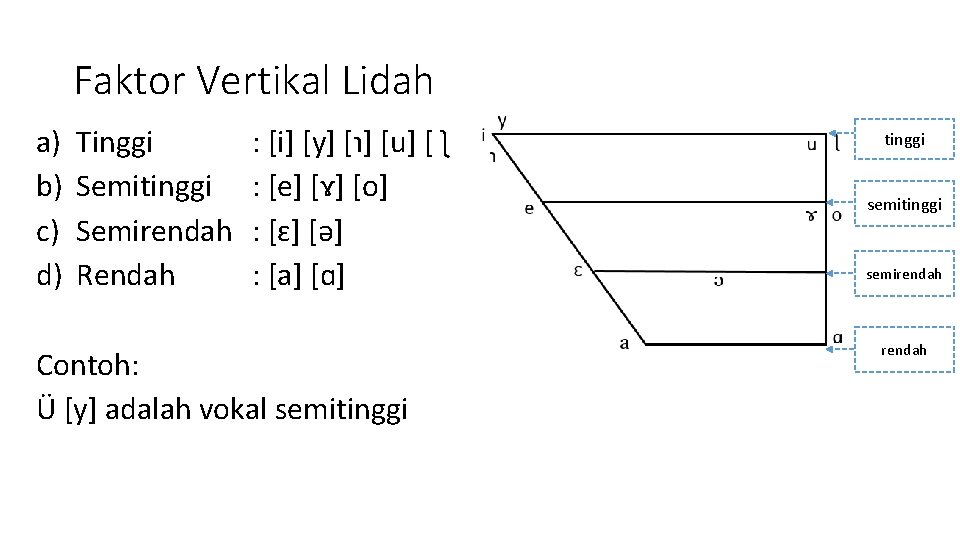 Faktor Vertikal Lidah a) b) c) d) Tinggi Semitinggi Semirendah Rendah : [i] [y]