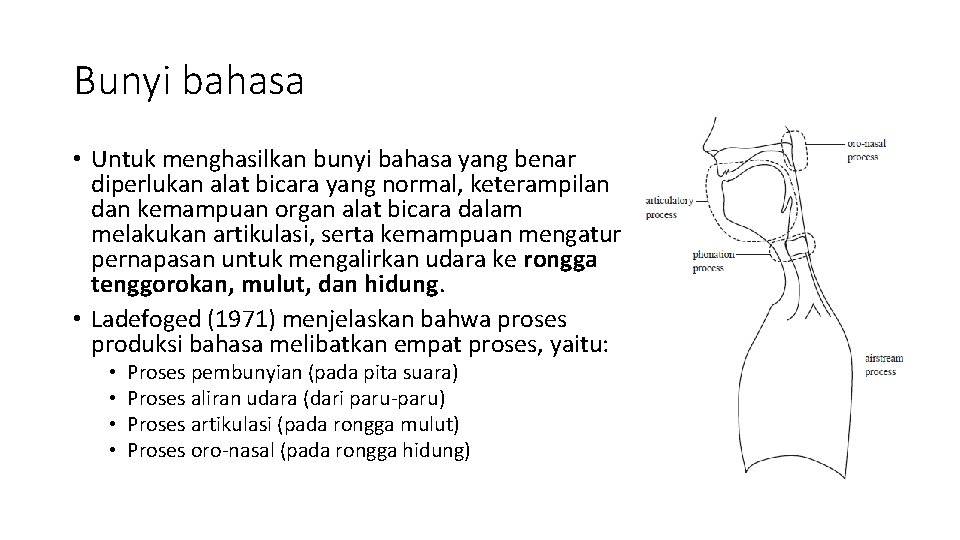 Bunyi bahasa • Untuk menghasilkan bunyi bahasa yang benar diperlukan alat bicara yang normal,