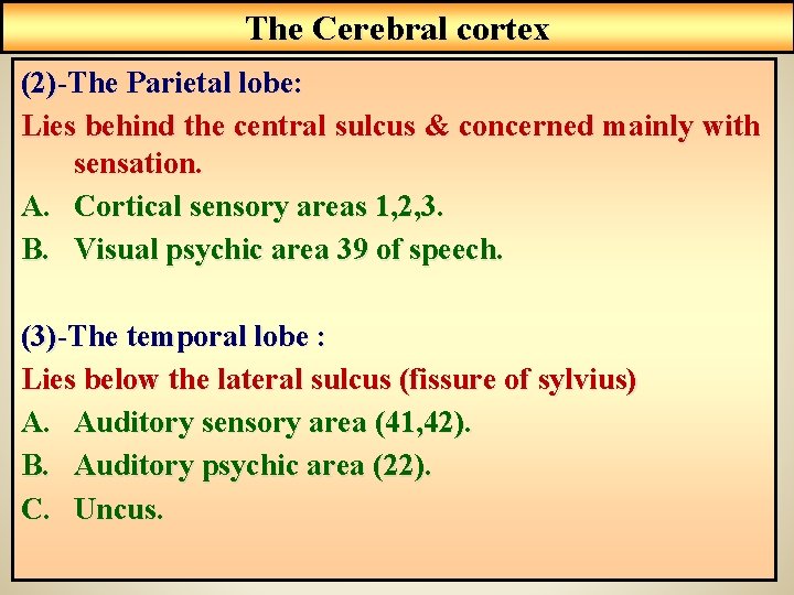 The Cerebral cortex (2)-The Parietal lobe: Lies behind the central sulcus & concerned mainly