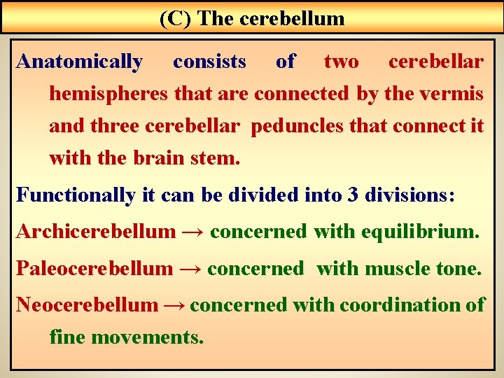 (C) The cerebellum Anatomically consists of two cerebellar hemispheres that are connected by the