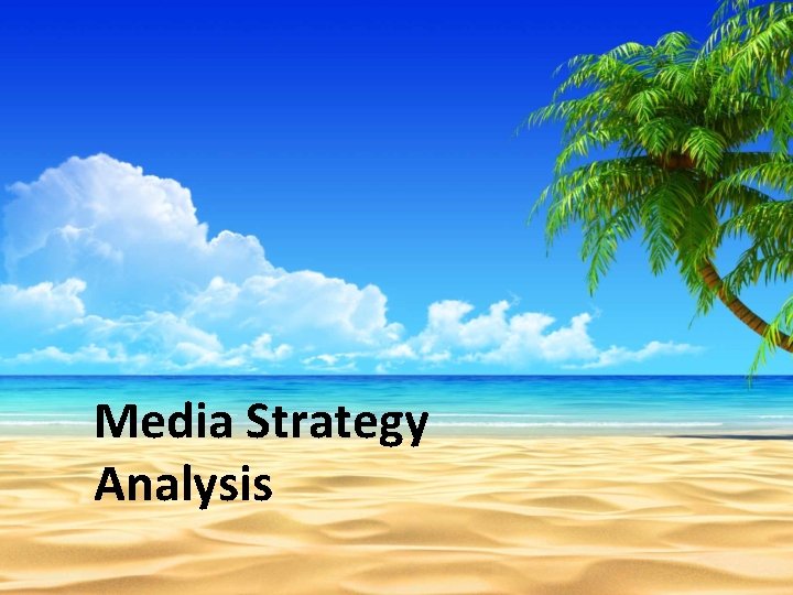 Media Strategy Analysis 