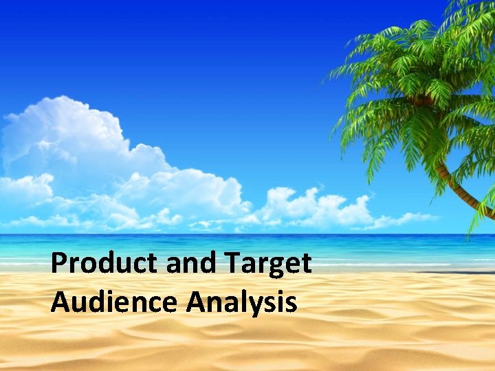 Product and Target Audience Analysis 