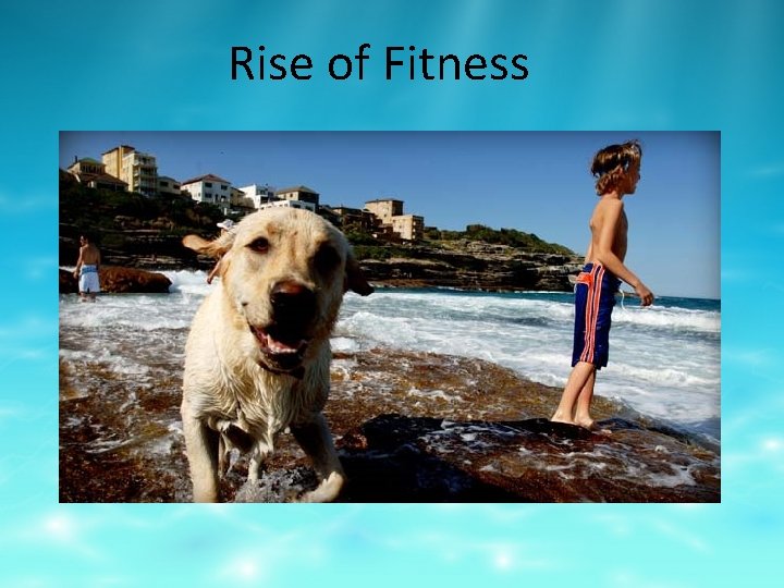 Rise of Fitness 