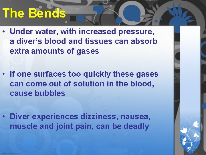 The Bends • Under water, with increased pressure, a diver’s blood and tissues can The Bends • Under water, with increased pressure, a diver’s blood and tissues can