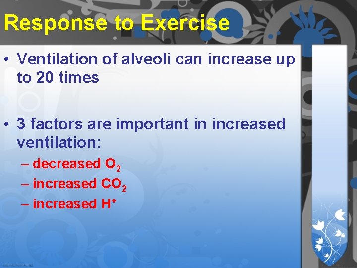 Response to Exercise • Ventilation of alveoli can increase up to 20 times • Response to Exercise • Ventilation of alveoli can increase up to 20 times •