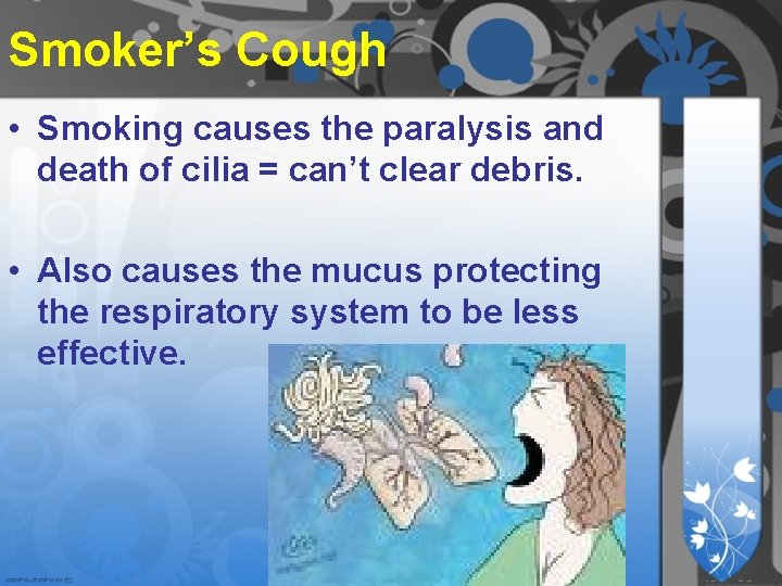 Smoker’s Cough • Smoking causes the paralysis and death of cilia = can’t clear Smoker’s Cough • Smoking causes the paralysis and death of cilia = can’t clear