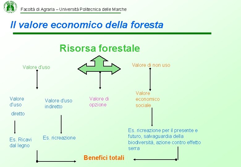 Facoltà di Agraria – Università Politecnica delle Marche Il valore economico della foresta Risorsa