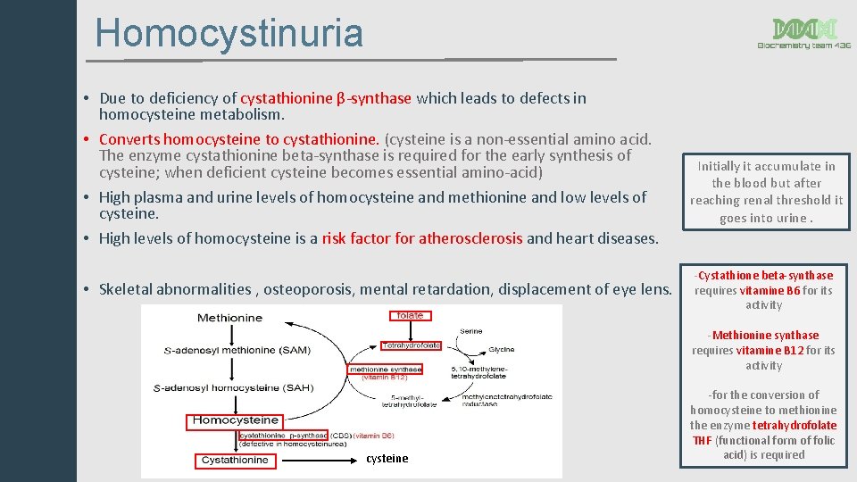 Homocystinuria • Due to deficiency of cystathionine β-synthase which leads to defects in homocysteine