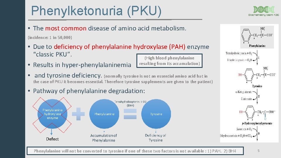 Phenylketonuria (PKU) • The most common disease of amino acid metabolism. (incidence: 1 in