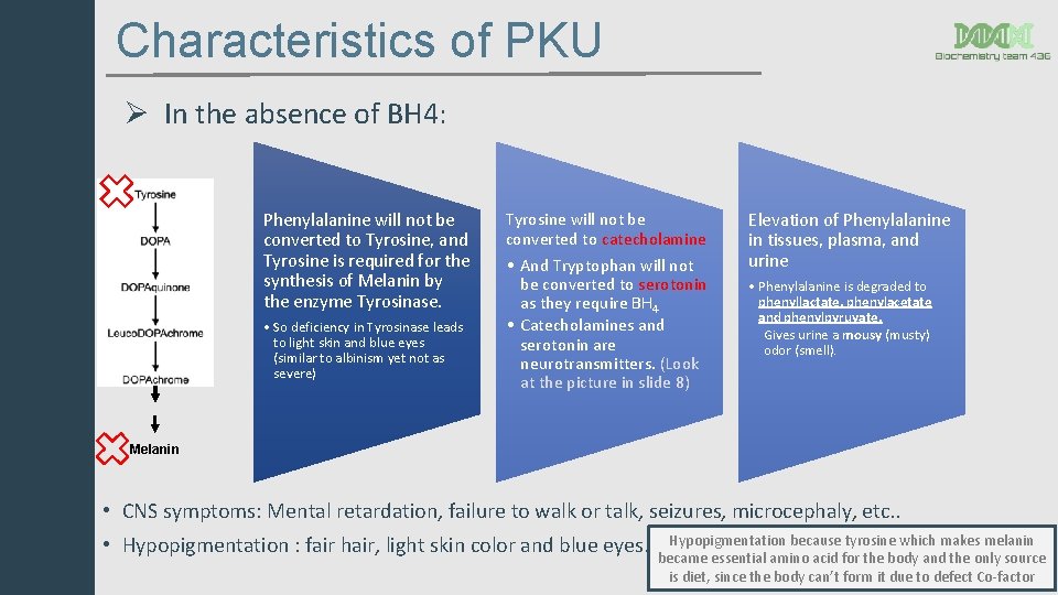 Characteristics of PKU Ø In the absence of BH 4: Phenylalanine will not be