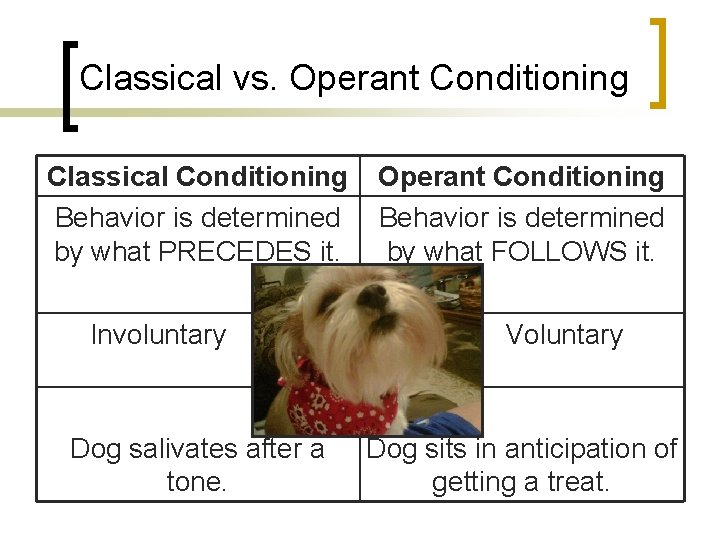 Classical vs. Operant Conditioning Classical Conditioning Behavior is determined by what PRECEDES it. Involuntary
