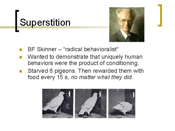 Superstition n BF Skinner – “radical behavioralist” Wanted to demonstrate that uniquely human behaviors