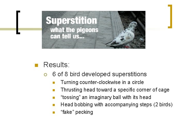 n Results: ¡ 6 of 8 bird developed superstitions n n n Turning counter-clockwise