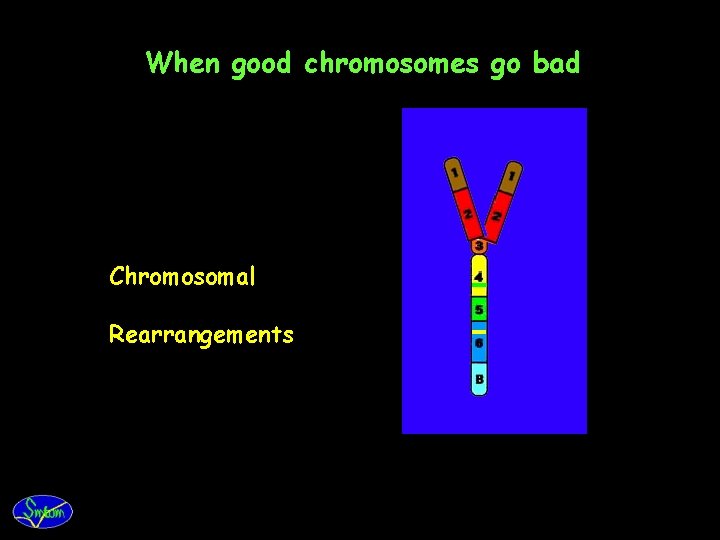 When good chromosomes go bad Chromosomal Rearrangements 