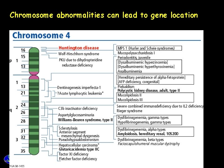 Chromosome abnormalities can lead to gene location 