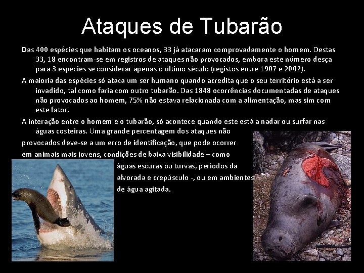 Ataques de Tubarão Das 400 espécies que habitam os oceanos, 33 já atacaram comprovadamente