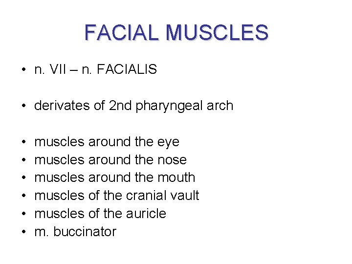 FACIAL MUSCLES • n. VII – n. FACIALIS • derivates of 2 nd pharyngeal