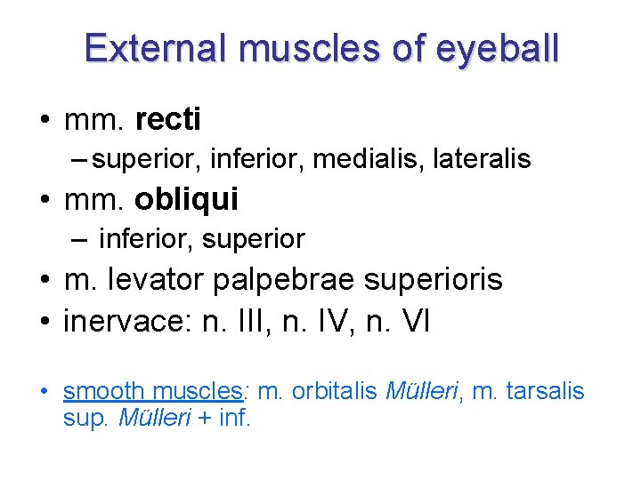 External muscles of eyeball • mm. recti – superior, inferior, medialis, lateralis • mm.