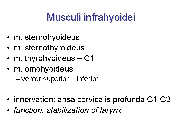 Musculi infrahyoidei • • m. sternohyoideus m. sternothyroideus m. thyrohyoideus – C 1 m.