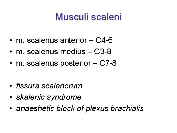 Musculi scaleni • m. scalenus anterior – C 4 -6 • m. scalenus medius