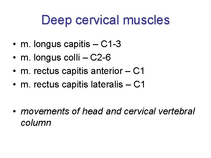 Deep cervical muscles • • m. longus capitis – C 1 -3 m. longus