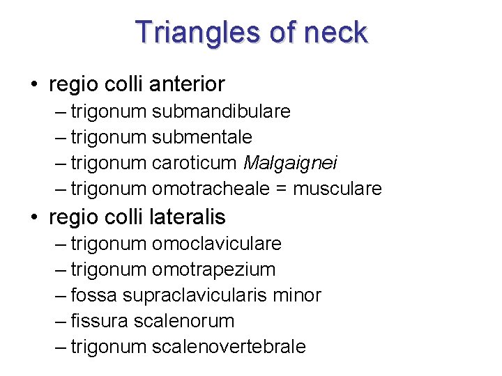 Triangles of neck • regio colli anterior – trigonum submandibulare – trigonum submentale –