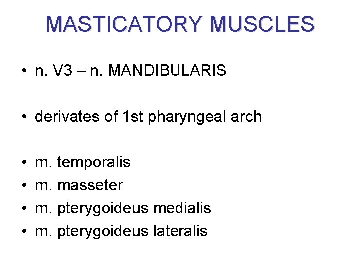 MASTICATORY MUSCLES • n. V 3 – n. MANDIBULARIS • derivates of 1 st