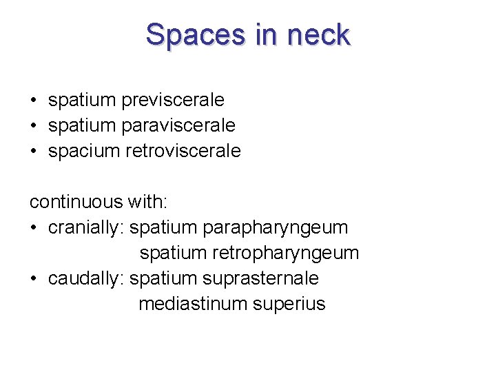 Spaces in neck • spatium previscerale • spatium paraviscerale • spacium retroviscerale continuous with: