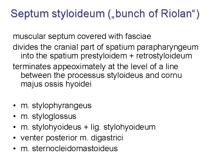 Septum styloideum („bunch of Riolan“) muscular septum covered with fasciae divides the cranial part