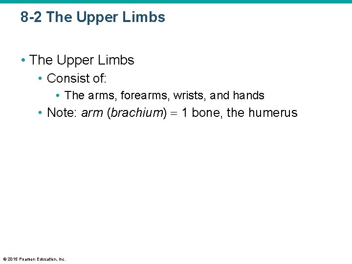 8 -2 The Upper Limbs • Consist of: • The arms, forearms, wrists, and