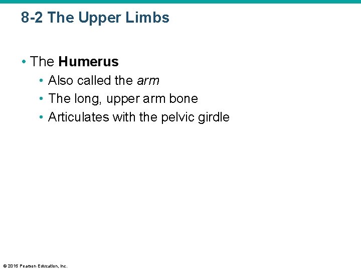 8 -2 The Upper Limbs • The Humerus • Also called the arm •
