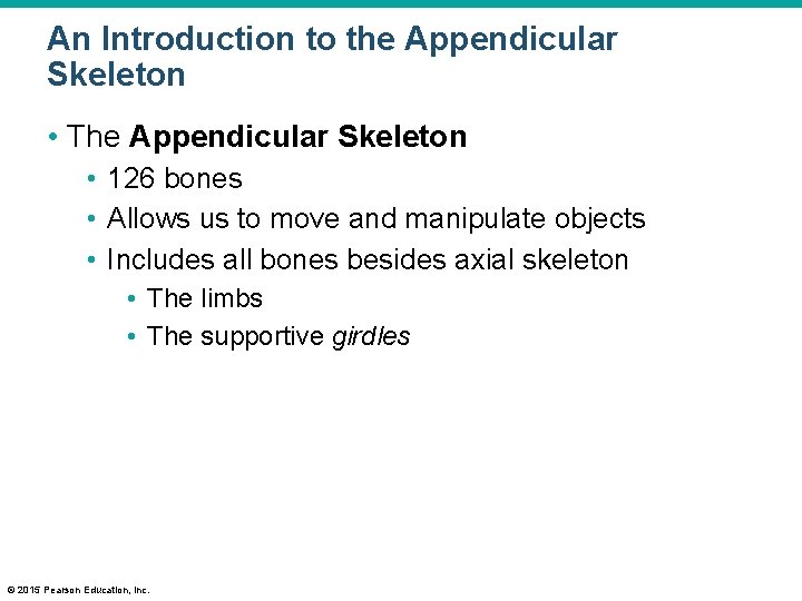 An Introduction to the Appendicular Skeleton • The Appendicular Skeleton • 126 bones •
