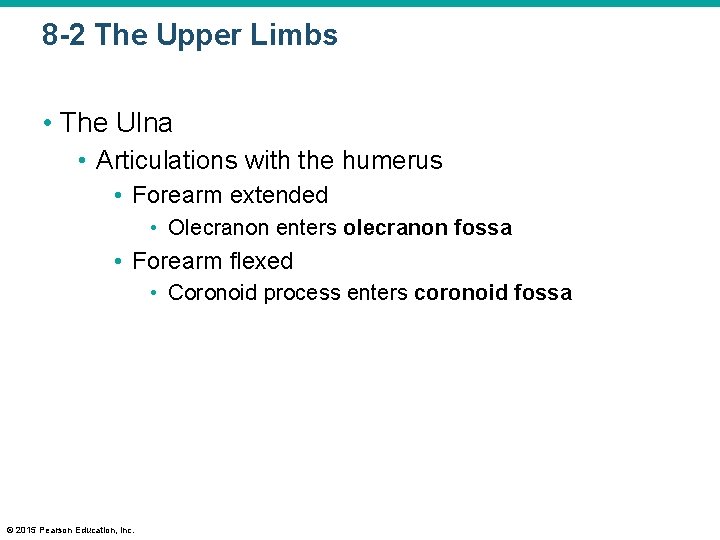 8 -2 The Upper Limbs • The Ulna • Articulations with the humerus •