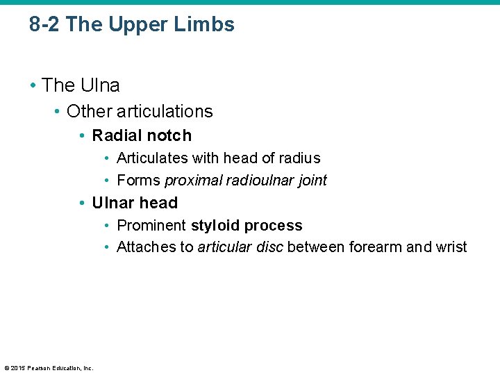 8 -2 The Upper Limbs • The Ulna • Other articulations • Radial notch