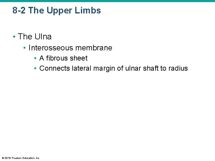 8 -2 The Upper Limbs • The Ulna • Interosseous membrane • A fibrous