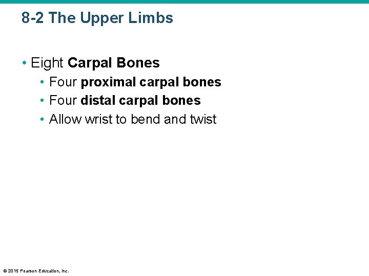 8 -2 The Upper Limbs • Eight Carpal Bones • Four proximal carpal bones