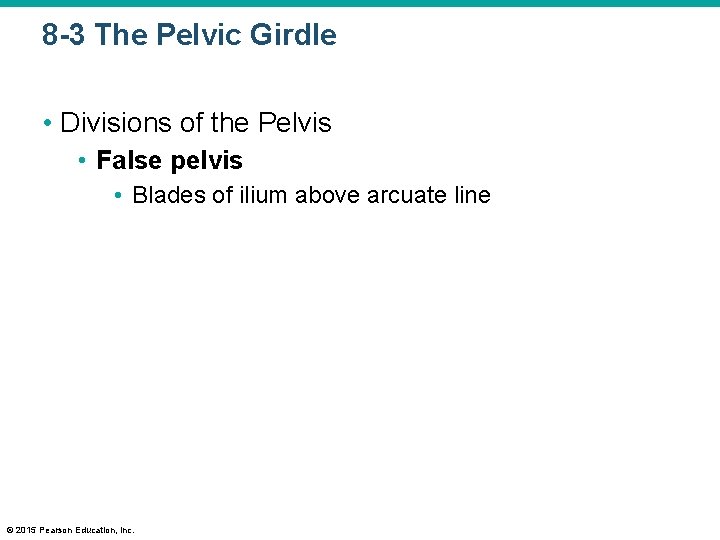 8 -3 The Pelvic Girdle • Divisions of the Pelvis • False pelvis •