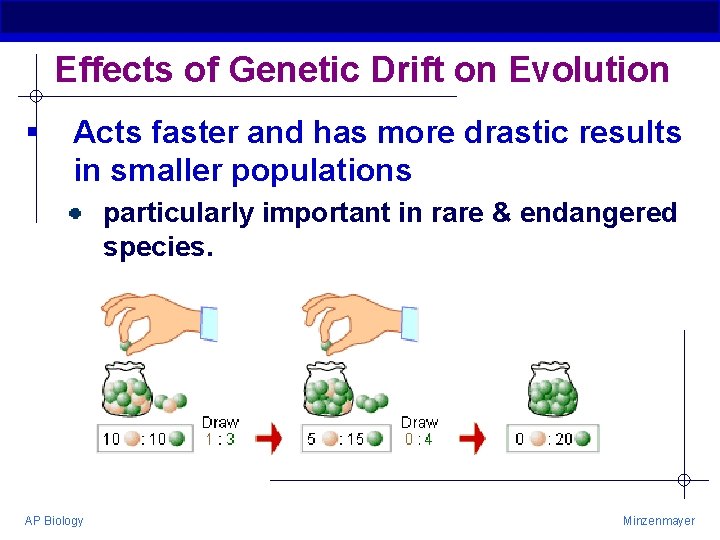 Effects of Genetic Drift on Evolution § Acts faster and has more drastic results