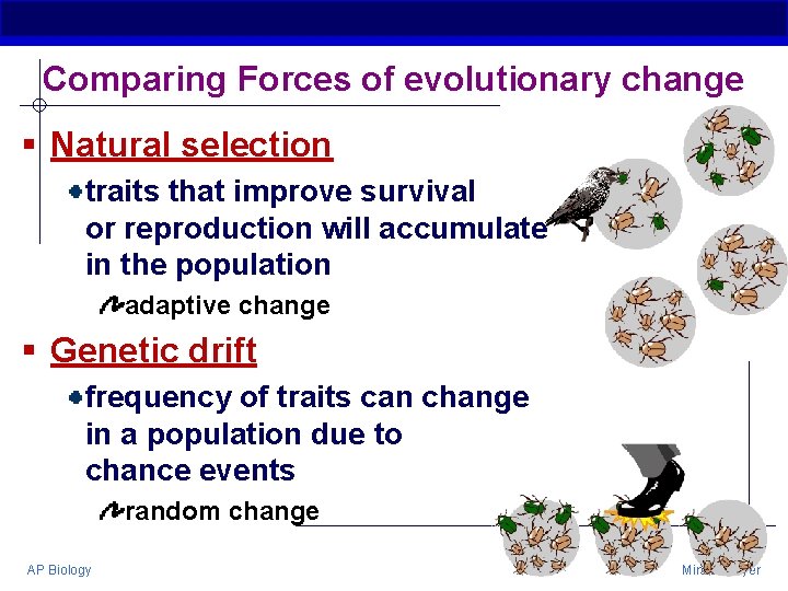Comparing Forces of evolutionary change § Natural selection traits that improve survival or reproduction