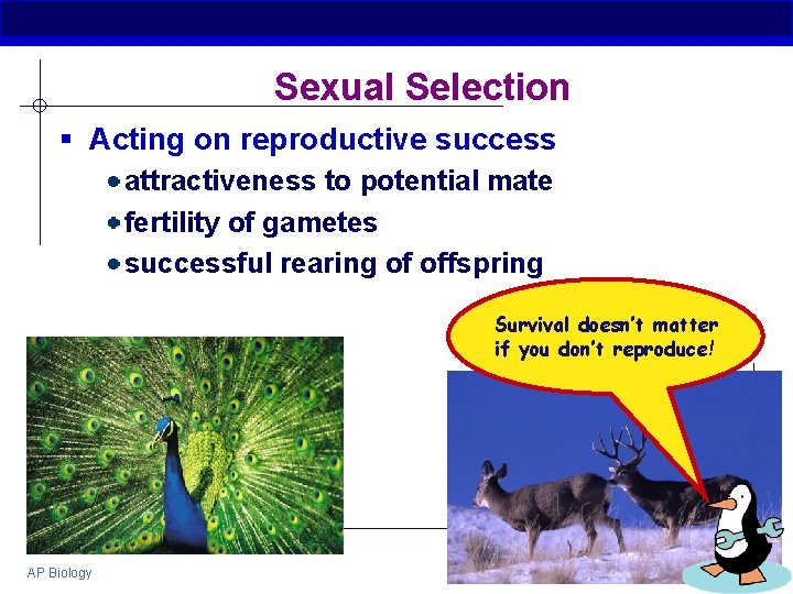 Sexual Selection § Acting on reproductive success attractiveness to potential mate fertility of gametes