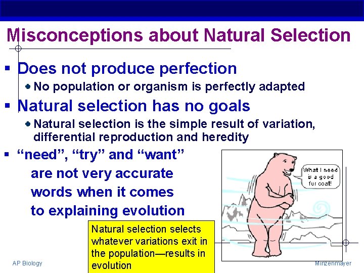 Misconceptions about Natural Selection § Does not produce perfection No population or organism is