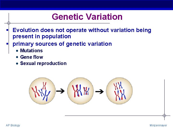 Genetic Variation § Evolution does not operate without variation being present in population §